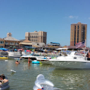 Meet your Posher, Alexander